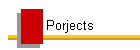 Porjects